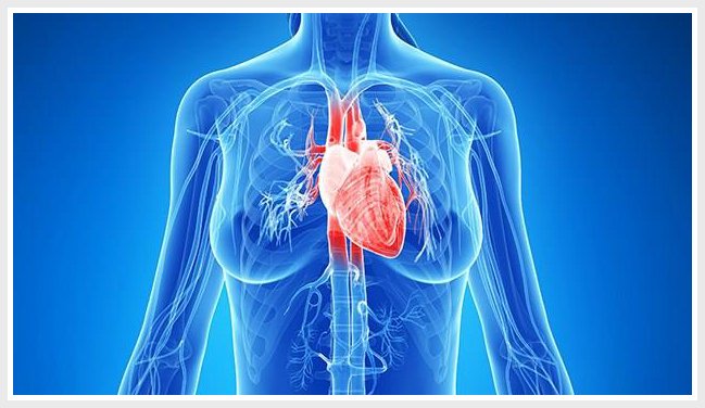 The Hidden "Blood Defect" Keeping Women Over 30 Fatigued
